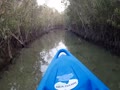 Kayaking in the Eastern Mangroves in Abu Dhabi