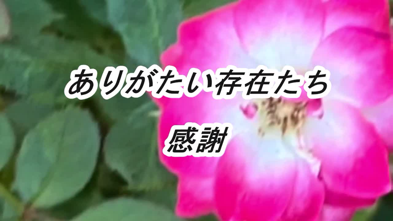 無条件の波動～ありがたい存在たち～.mp4 - FC2Vídeo